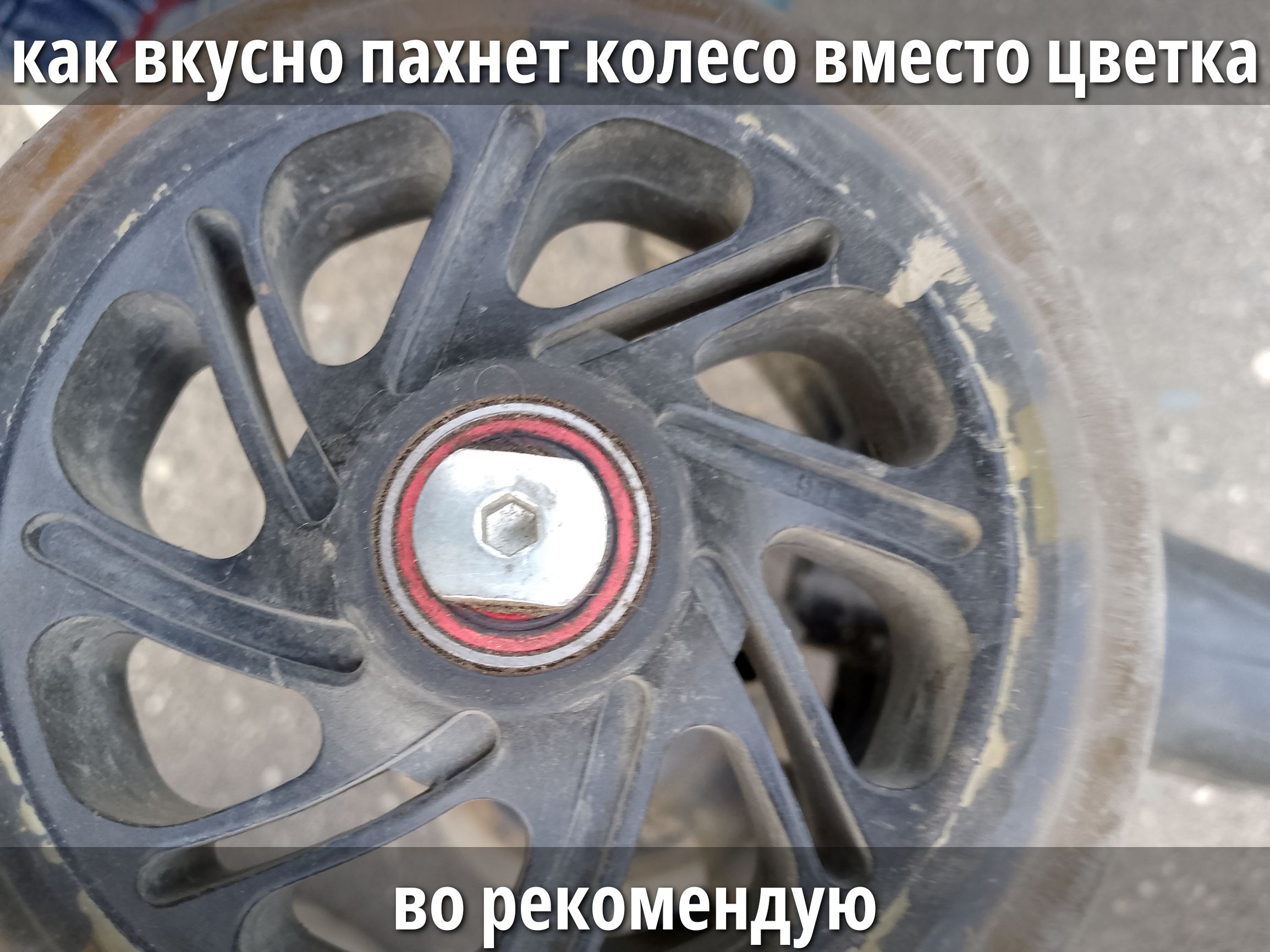 как вкусно пахнет колесо вместо цветка во推荐