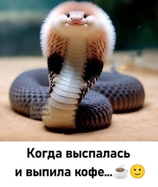 Когда выспалась и выпила кофе...