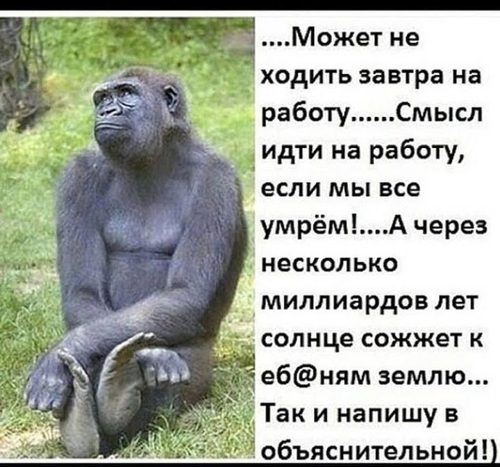 Может не ходить завтра на работуСмысл дидти на работу если мы все умрёмА через несколько миллиардов лет солнце сожжет к ебням землю Так и напишу в объяснительной