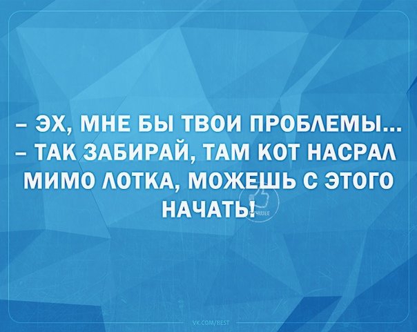ЗХ МНЕ БЫ ТВОИ ПРОБЛЕМЫ ТАК 3АБИРАЙ ТАМ КОТ НАСРМ МИМО АОТКА МОЖЕШЬ с ЭТОГО НАЧАТЬ