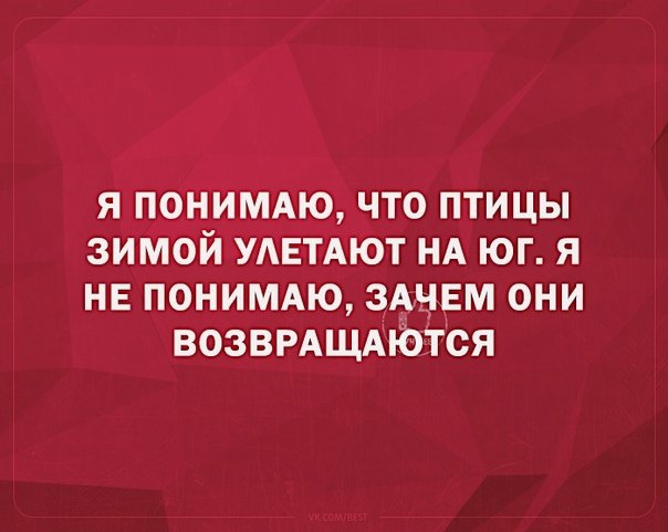 Я ПОНИМАЮ ЧТО ПТИЦЫ ЗИМОЙ УАЕТАЮТ НА ЮГ Я НЕ ПОНИМАЮ ЗАЧЕМ ОНИ ВОЗВРАЩАЮТСЯ