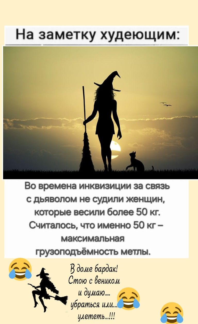 На заметку худеющим:
Во времена инквизиции за связь с дьяволом не судили женщин, которые весили более 50 кг. Считалось, что именно 50 кг – максимальная грузоподъемность метлы.
В доме бардак! Стою с веником и думаю… убратьcя или… уметь!!!