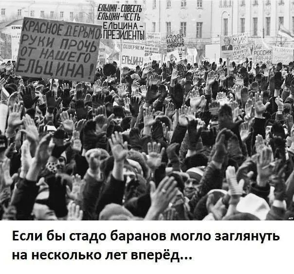 Если бы стадо баранов могло заглянуть на несколько лет вперёд...