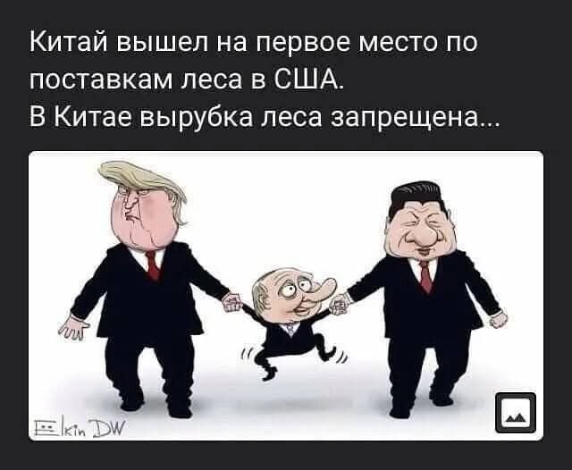 Китай вышел на первое место по поставкам леса в США. В Китае вырубка леса запрещена...
