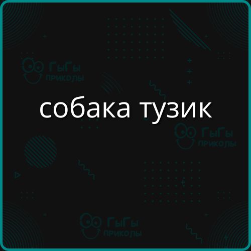 собака тузик