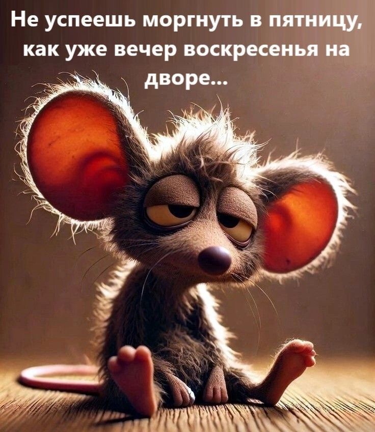 Не успеешь моргнуть в пятницу, как уже вечер воскресенья на дворе...