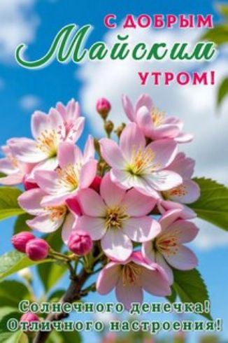 С ДОБРЫМ МАЙСКИМ УТРОМ! Солничного денечка! Отличного настроения!