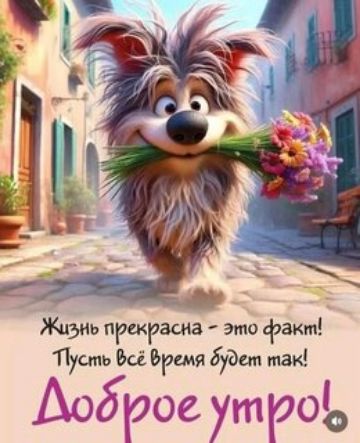 Жизнь прекрасна - это факт! Пусть всё время будет так! Доброе утро!