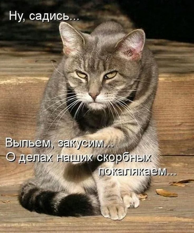 Ну, садись... Выпьем, закусим... О делах наших скорбных покалякаем...