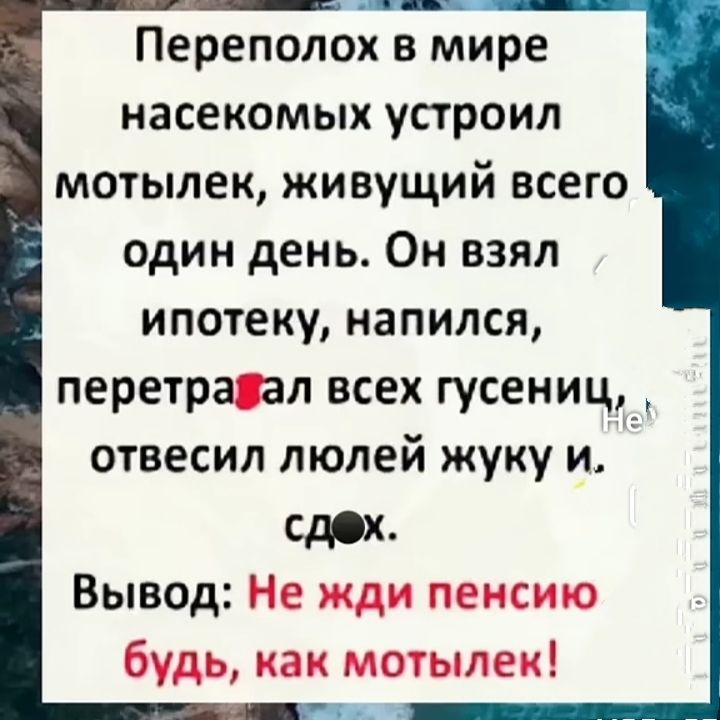 Переполох в мире насекомых устроил мотылек, живущий всего один день. Он взял ипотеку, напился, перетратил всех гусятниц, отвесил люлей жуку и сдох. Вывод: Не жди пенсию будь, как мотылек!