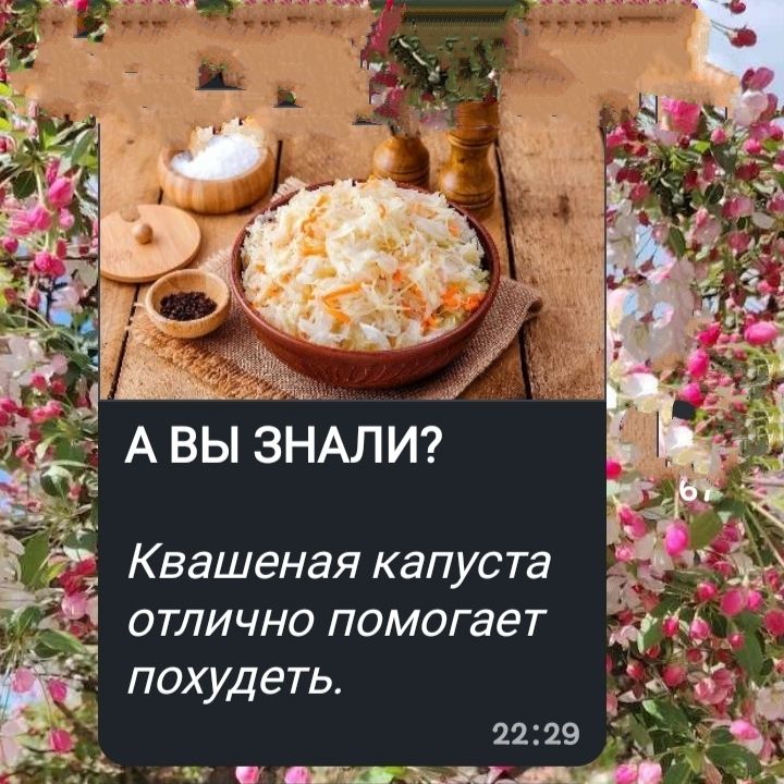 А ВЫ ЗНАЛИ? Квашеная капуста отлично помогает похудеть.