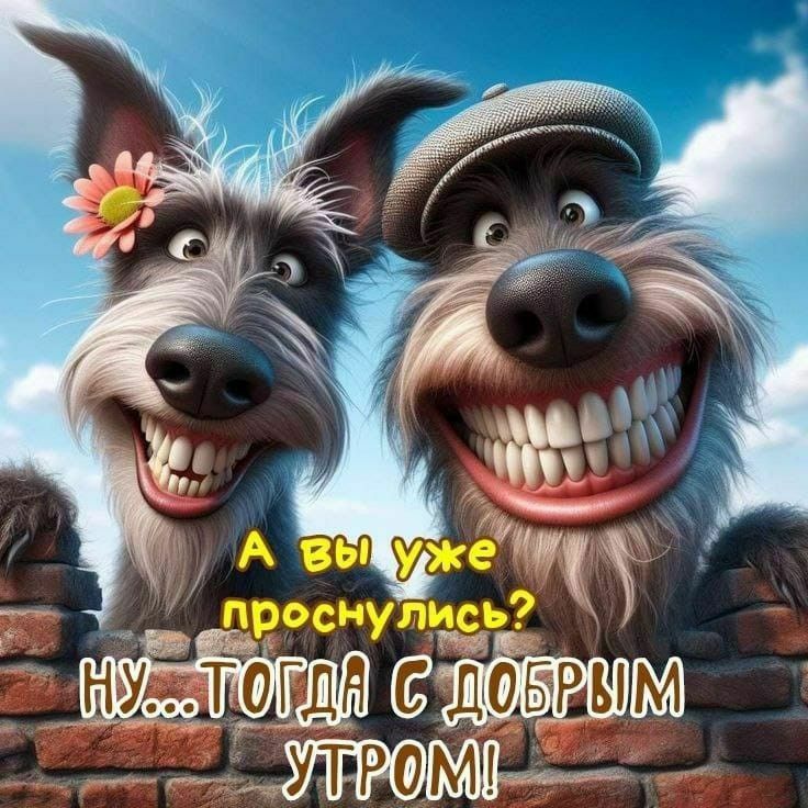 А вы уже проснулись? НУ...ТОГДА С ДОБРЫМ УТРОМ!