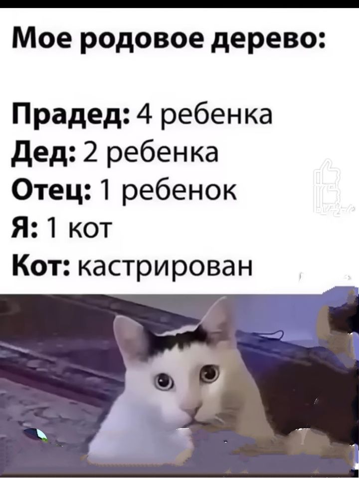 Мое родовое дерево:
Прадед: 4 ребенка
Дед: 2 ребенка
Отец: 1 ребенок
Я: 1 кот
Кот: кастрирован