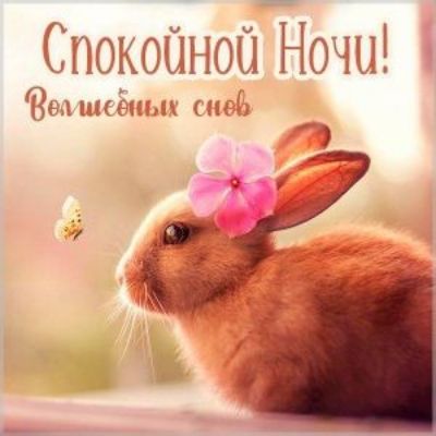 Спокойной Ночи! Волшебных снов