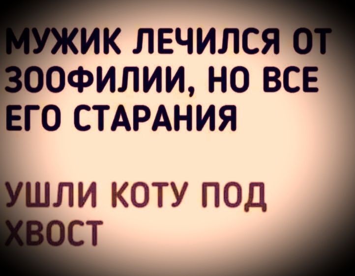 МУЖИК ЛЕЧИЛСЯ ОТ ЗООФИЛИИ, НО ВСЕ ЕГО СТАРАНИЯ УШЛИ КОТУ ПОД ХВОСТ