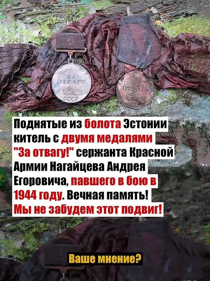 Поднятые из болота Эстонии китель с двумя медалями 