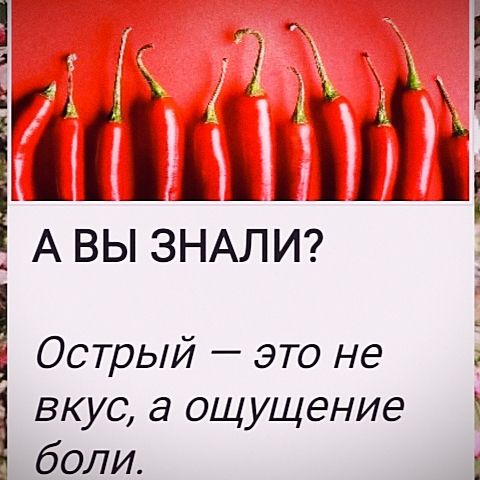 А ВЫ ЗНАЛИ? Острый — это не вкус, а ощущение боли.