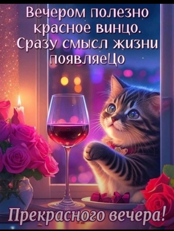 Вечером полезно красное винцо. Сразу смысл жизни появляется! Прекрасного вечера!