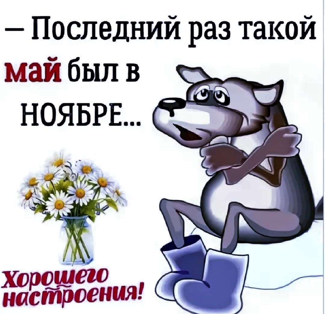 – Последний раз такой май был в НОЯБРЕ...
Хорошего настроения!