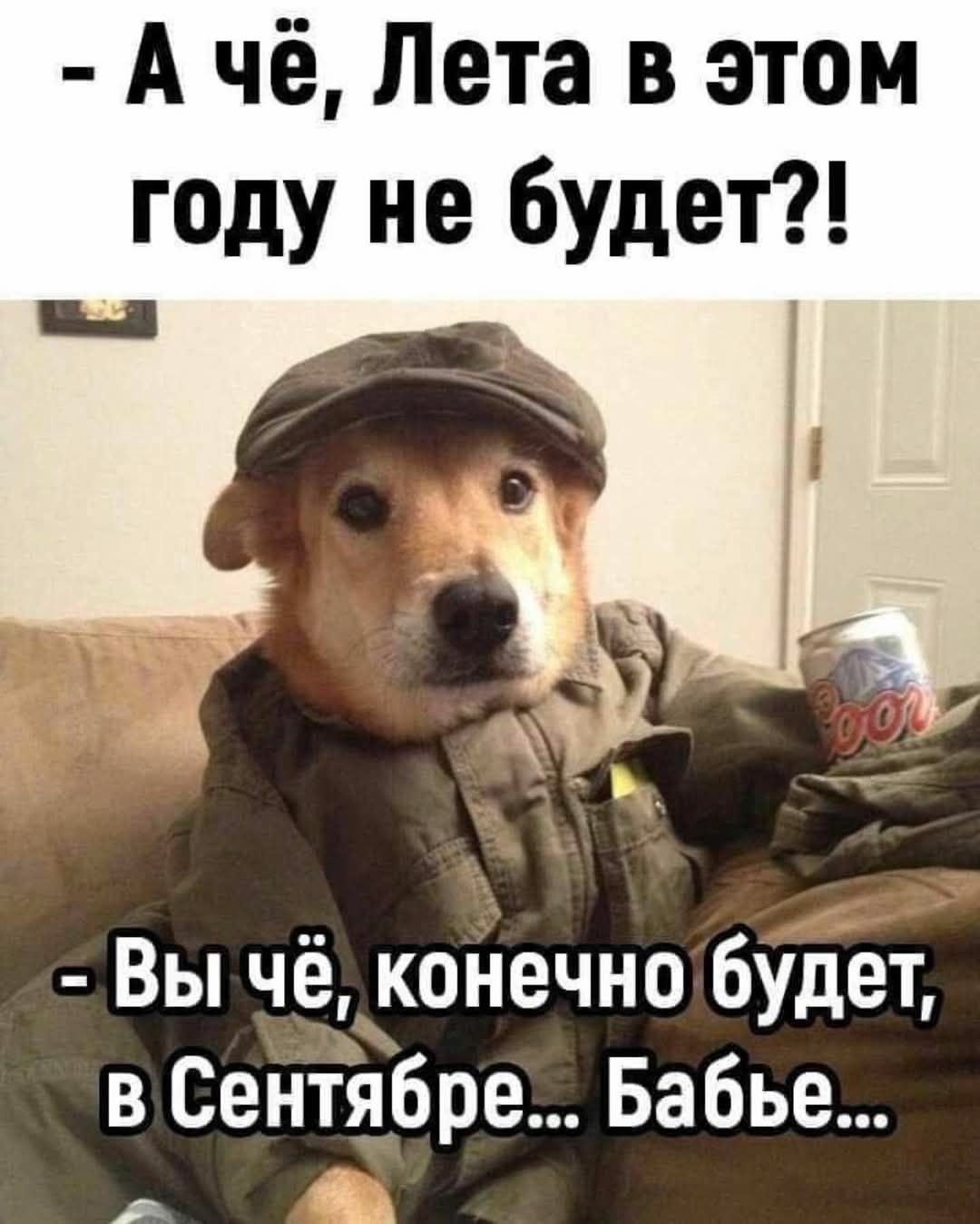 - А чё, Лета в этом году не будет?!
- Вы чё, конечно будет, в Сентябре... Бабье...