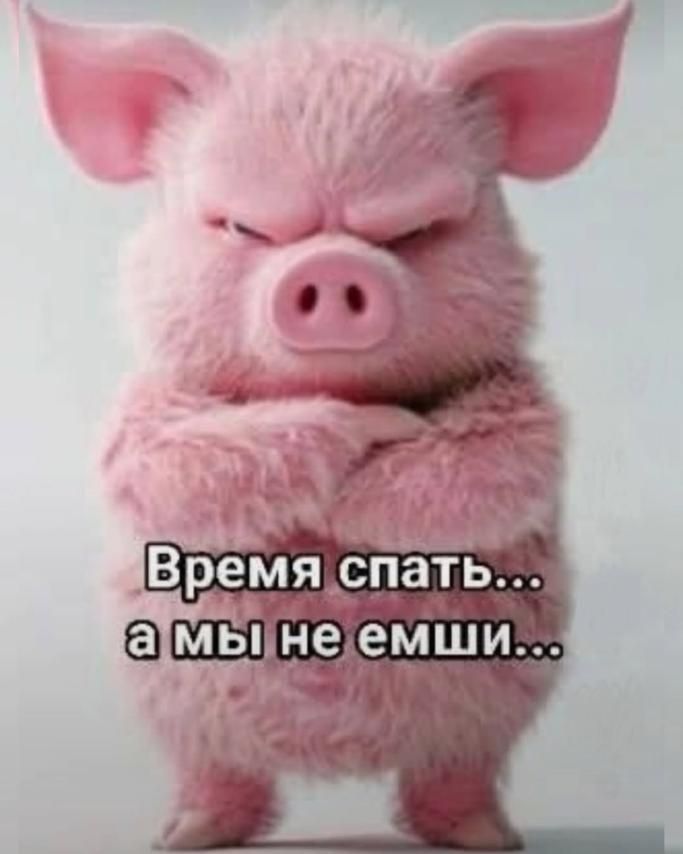 Время спать... а мы не е́мши...