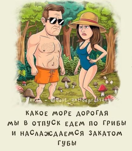 Какое море дорогая мы в отпуск едим по грибы и наслаждаемся закатом губы