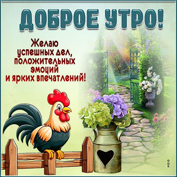 ДОБРОЕ УТРО! Желаю успешных дел, положительных эмоций и ярких впечатлений!