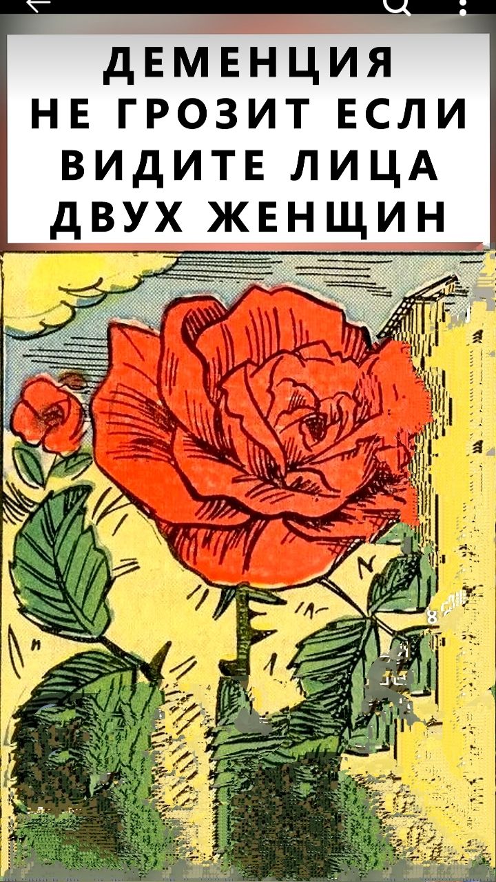 ДЕМЕНЦИЯ НЕ ГРОЗИТ ЕСЛИ ВИДИТЕ ЛИЦА ДВУХ ЖЕНЩИН