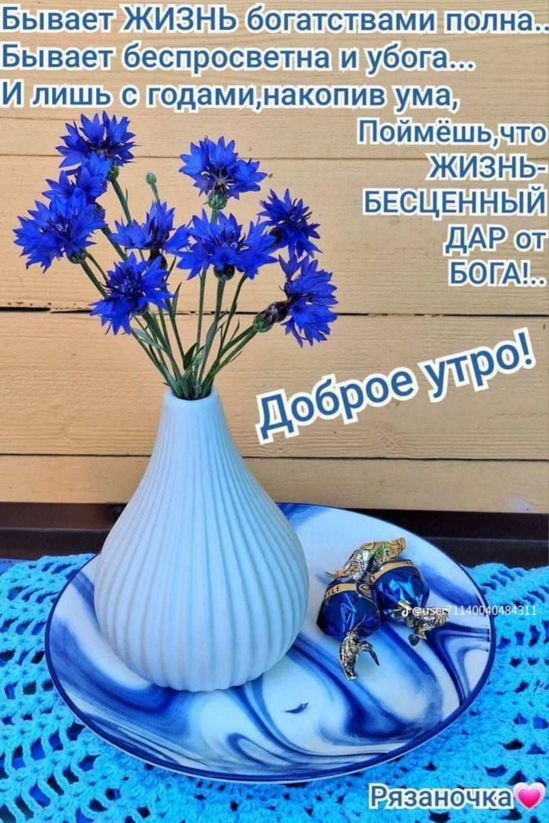 Бывает ЖИЗНЬ богатствами полна... Бывает беспросветна и убога... И лишь с годами, накопив ума, Поймёшь, что ЖИЗНЬ - БЕСЦЕННЫЙ ДАР от БОГА!.. Доброе утро!