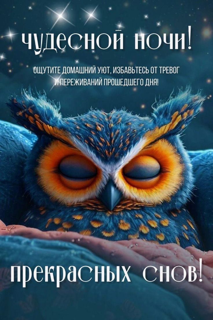 чудесной ночи! ощутите домашний уют, избавьтесь от тревог и переживаний прошедшего дня! прекрасных снов!