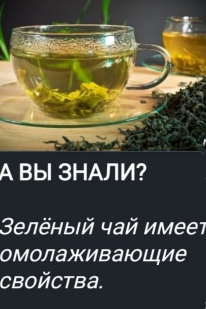 А ВЫ ЗНАЛИ? Зелёный чай имеет омолаживающие свойства.