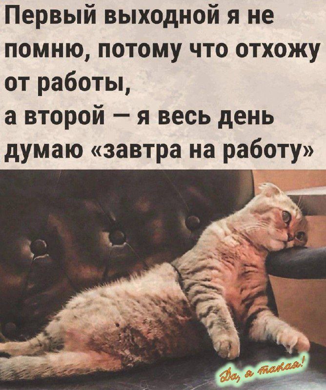 Первый выходной я не помню, потому что отхожу от работы, а второй — я весь день думаю «завтра на работу»