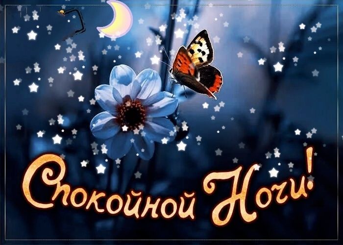 Спокойной Ночи!