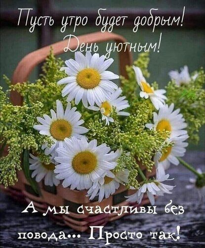 Пусть утро будет добрым! День уютным! А мы счастливы без повода... Просто так!