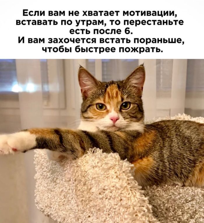 Если вам не хватает мотивации, вставать по утрам, то перестаньте есть после 6. И вам захочется встать пораньше, чтобы быстрее пожрать.