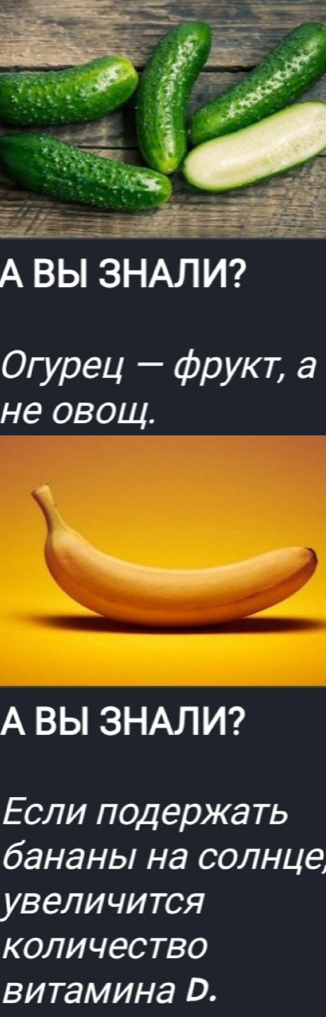 А ВЫ ЗНАЛИ? Огурец — фрукт, а не овощ.
А ВЫ ЗНАЛИ? Если подержать бананы на солнце, увеличится количество витамина D.
