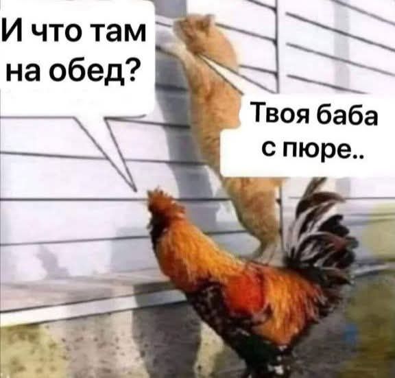 И что там на обед? Твоя баба с пюре..