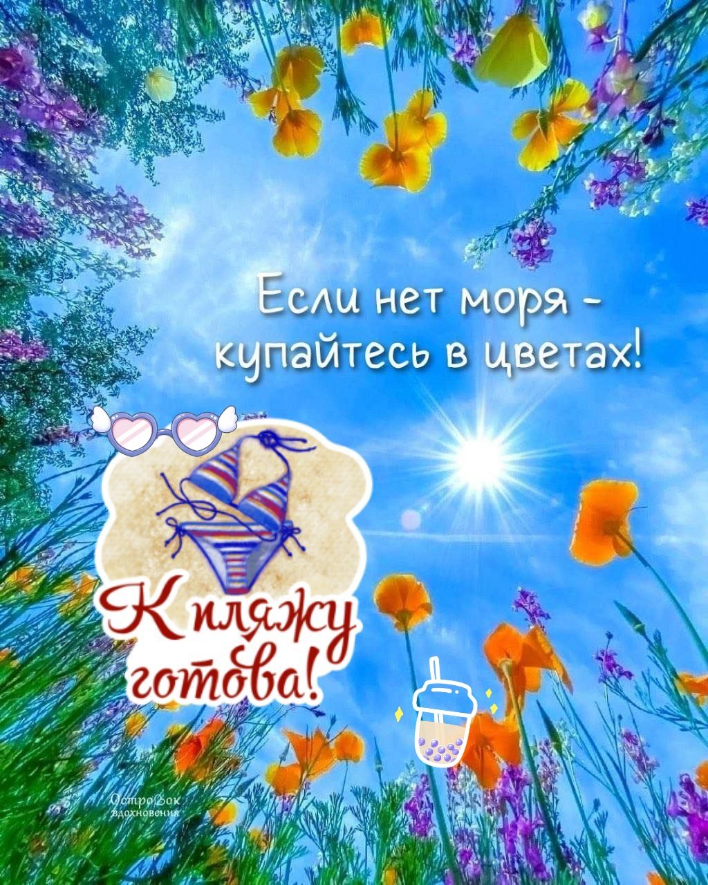Если нет моря - купайтесь в цветах!

К пляжу готова!