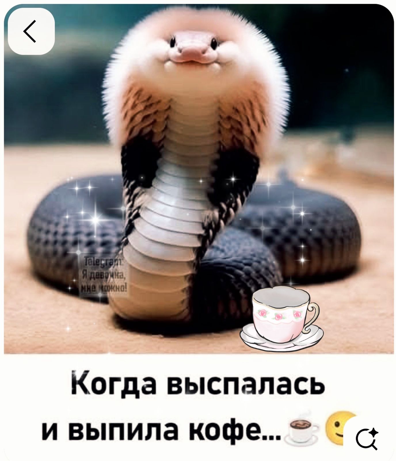 Когда выспалась и выпила кофе...