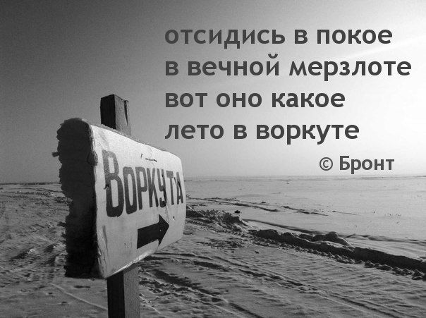 отсидись в покое
в вечной мерзлоте
вот оно какое
лето в воркуте
© Бронт