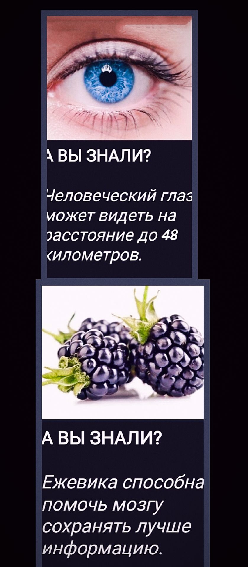 А ВЫ ЗНАЛИ?
Человеческий глаз может видеть на расстояние до 48 километров.

А ВЫ ЗНАЛИ?
Ежевика способна помочь мозгу сохранять лучше информацию.