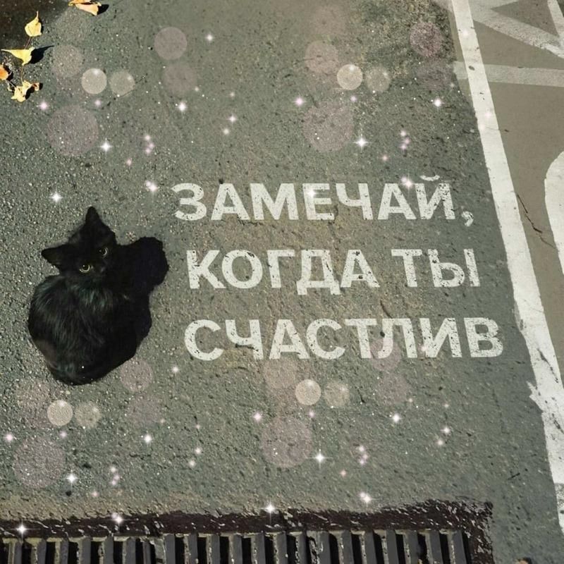 Замечай, когда ты счастлив