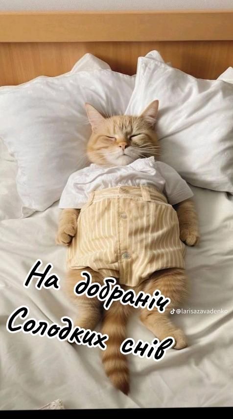 На добраніч, Солодких снів