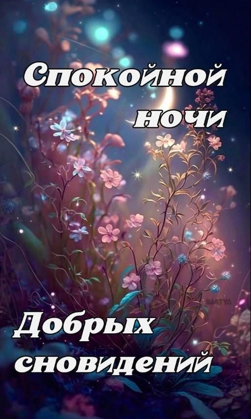 Спокойной ночи
Добрых сновидений