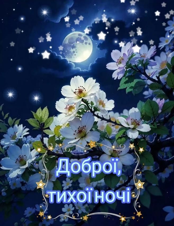 Доброї, тихої ночі