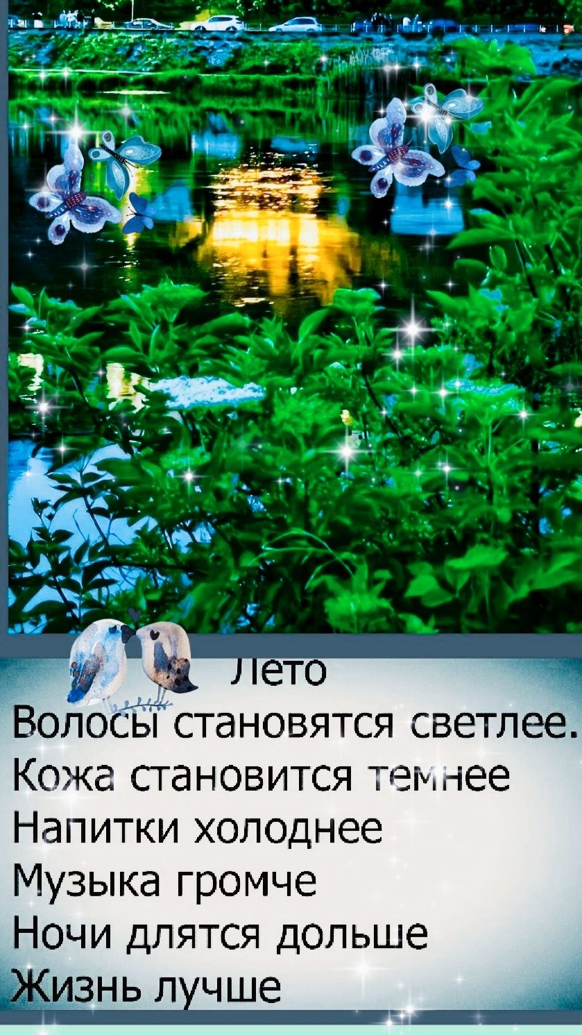 Лето
Волосы становятся светлее.
Кожа становится темнее
Напитки холоднее
Музыка громче
Ночи длятся дольше
Жизнь лучше