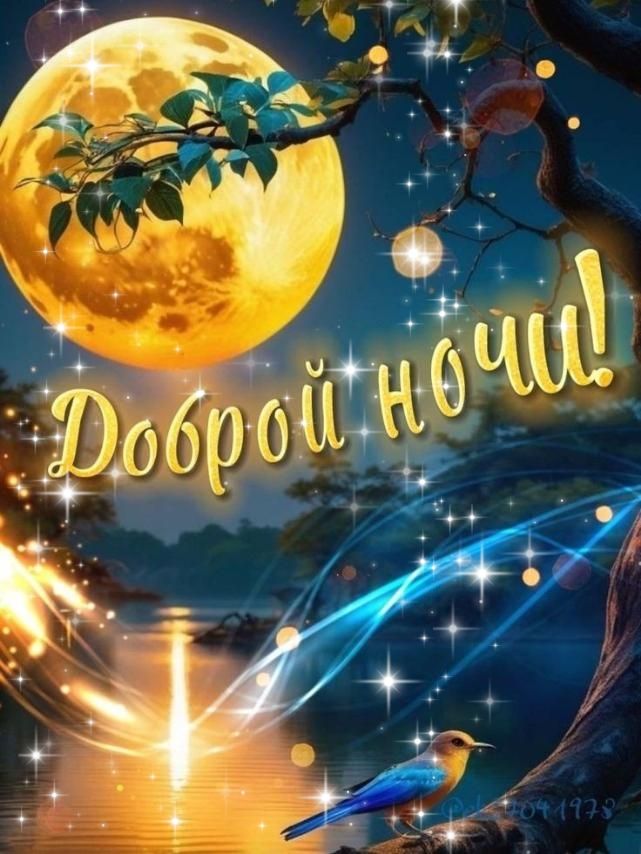 Доброй ночи!