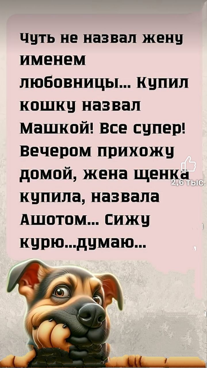 Чуть не назвал жену именем любовницы... Купил кошку назвал Машкой! Все супер! вечером прихожу домой, жена щенка купила, назвала Аштотм... Сижу курю...думаю...