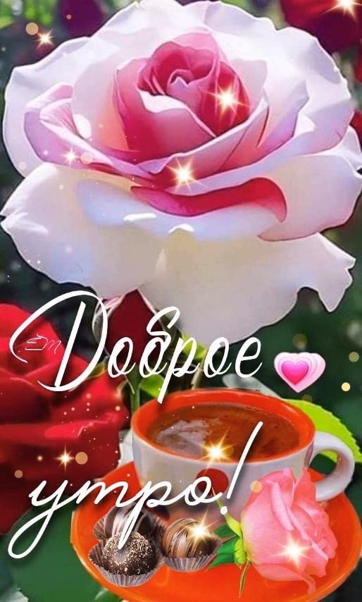 Доброе утро!