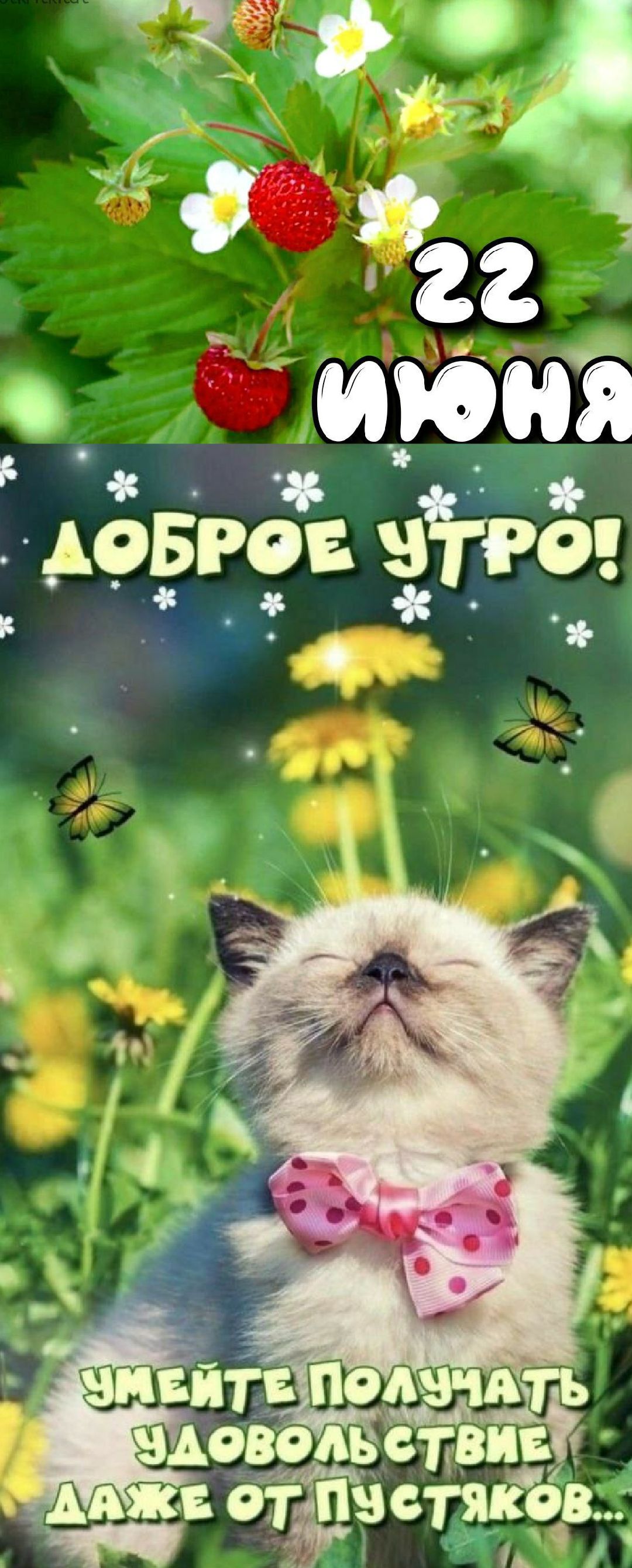 22 июня
ДОБРОЕ УТРО!
УМЕЙТЕ ПОЛУЧАТЬ УДОВОЛЬСТВИЕ ДАЖЕ ОТ ПУСТЯКОВ...